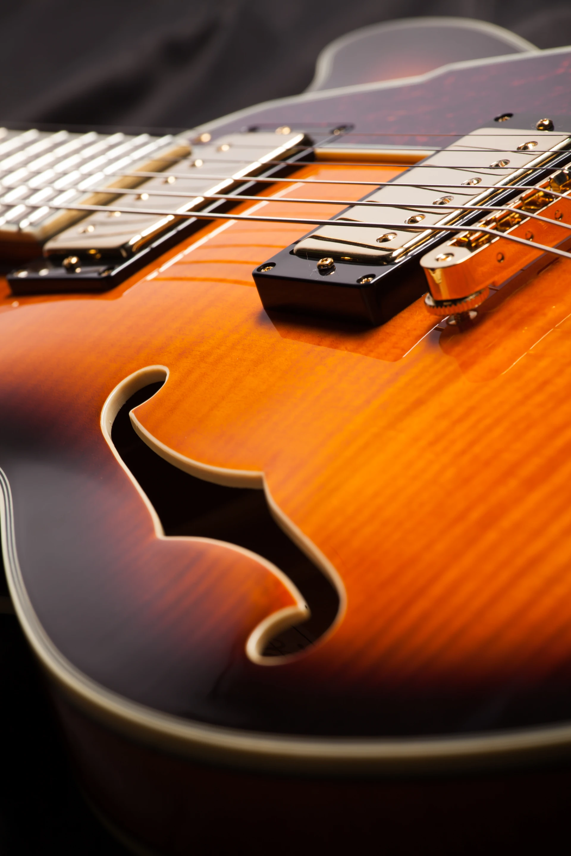 Detailing of the D'Angelico reissue guitars