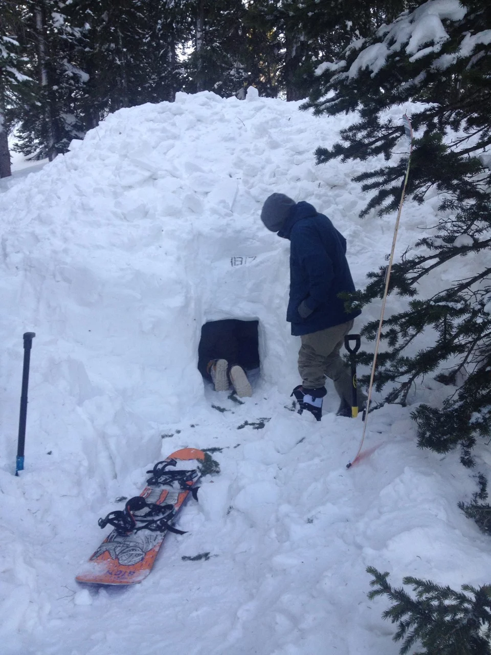 The Signal Survivor helped build this snow castle Photo: Erin Paul Hines