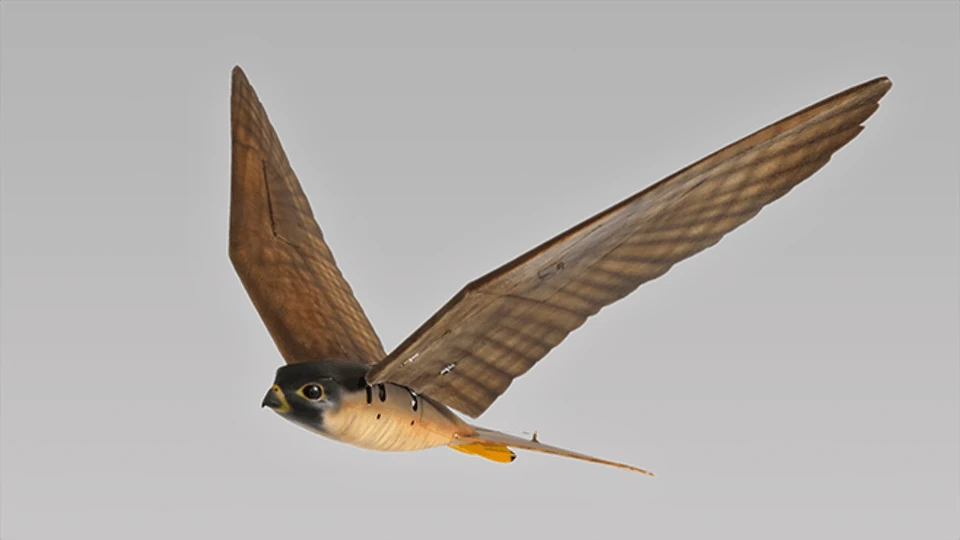Robird flies by flapping its wings in a manner similar to that by which a real falcon flies