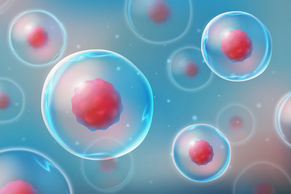 Scientists see exciting potential in using engineered stem cells to treat cancer