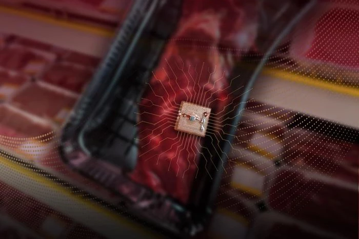 Researchers have developed a sensor that can detect food spoilage and wirelessly send the information it collects to a smartphone