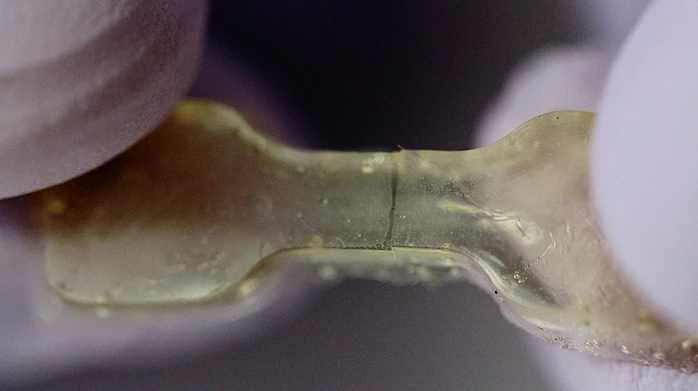 A piece of dynamic polyurea, that has healed up after being cut in two