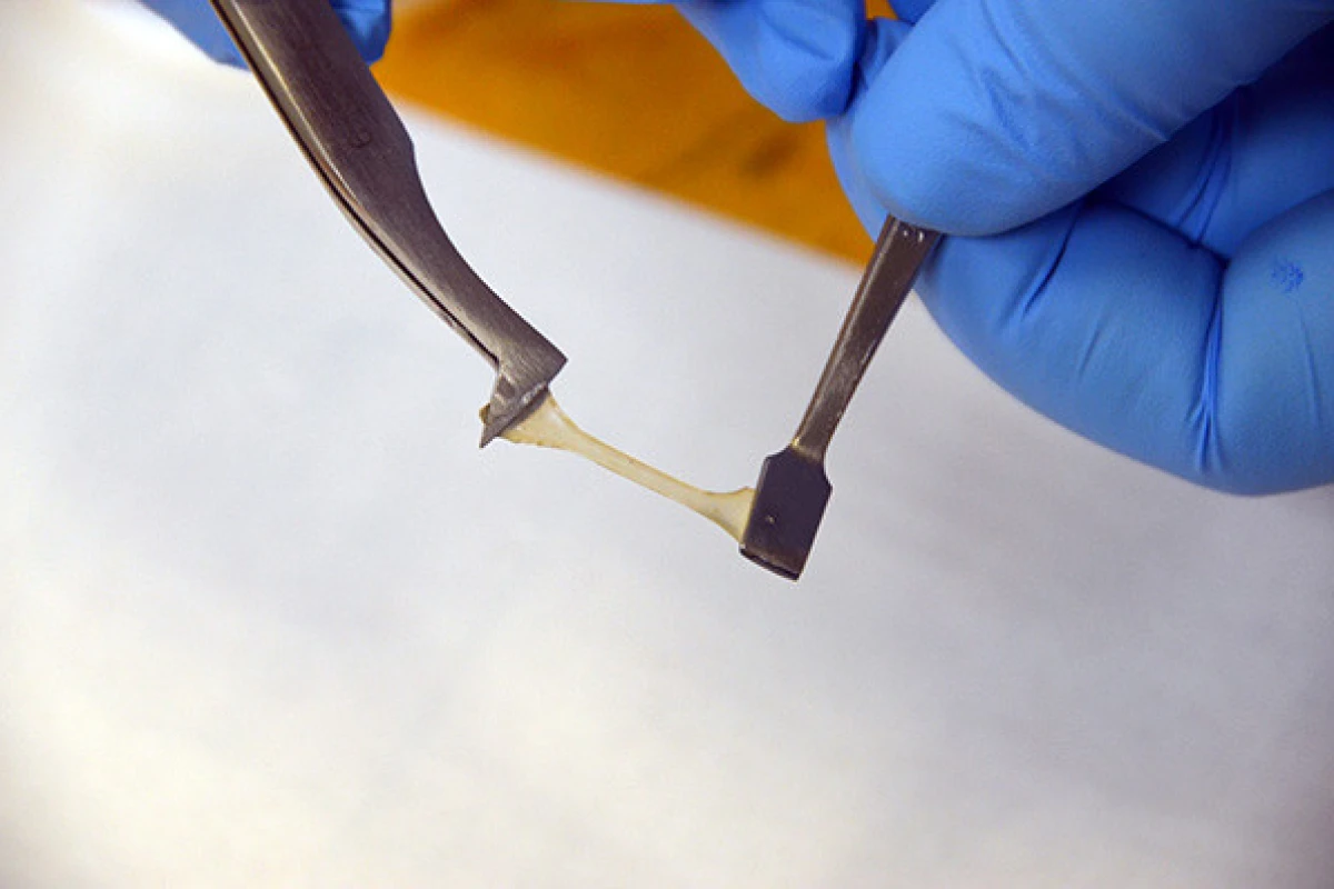 A sample of the self-healing polymer