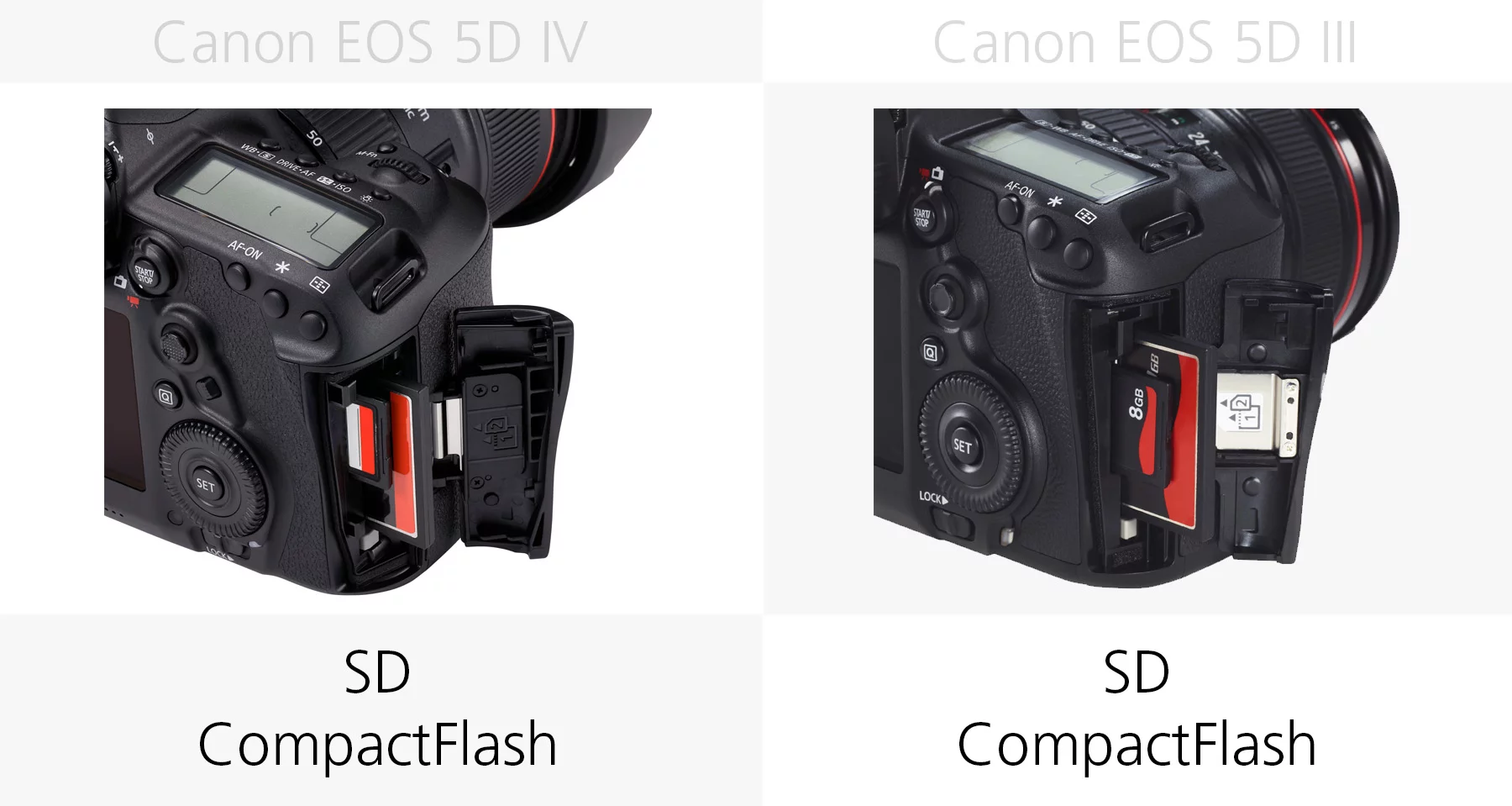 Memory cards (Canon EOS 5D Mark IV and 5D Mark III)