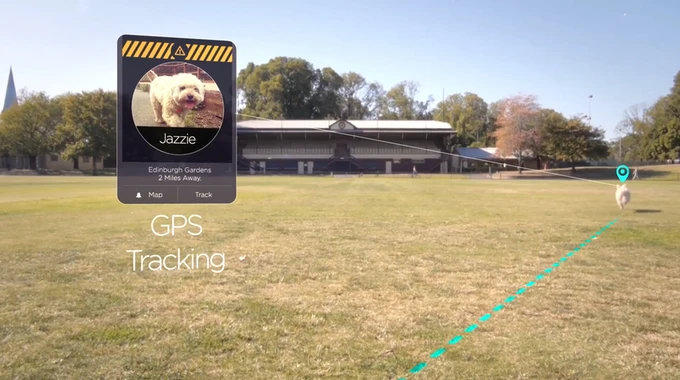 Buddy's GPS tracking can help you find a lost pet