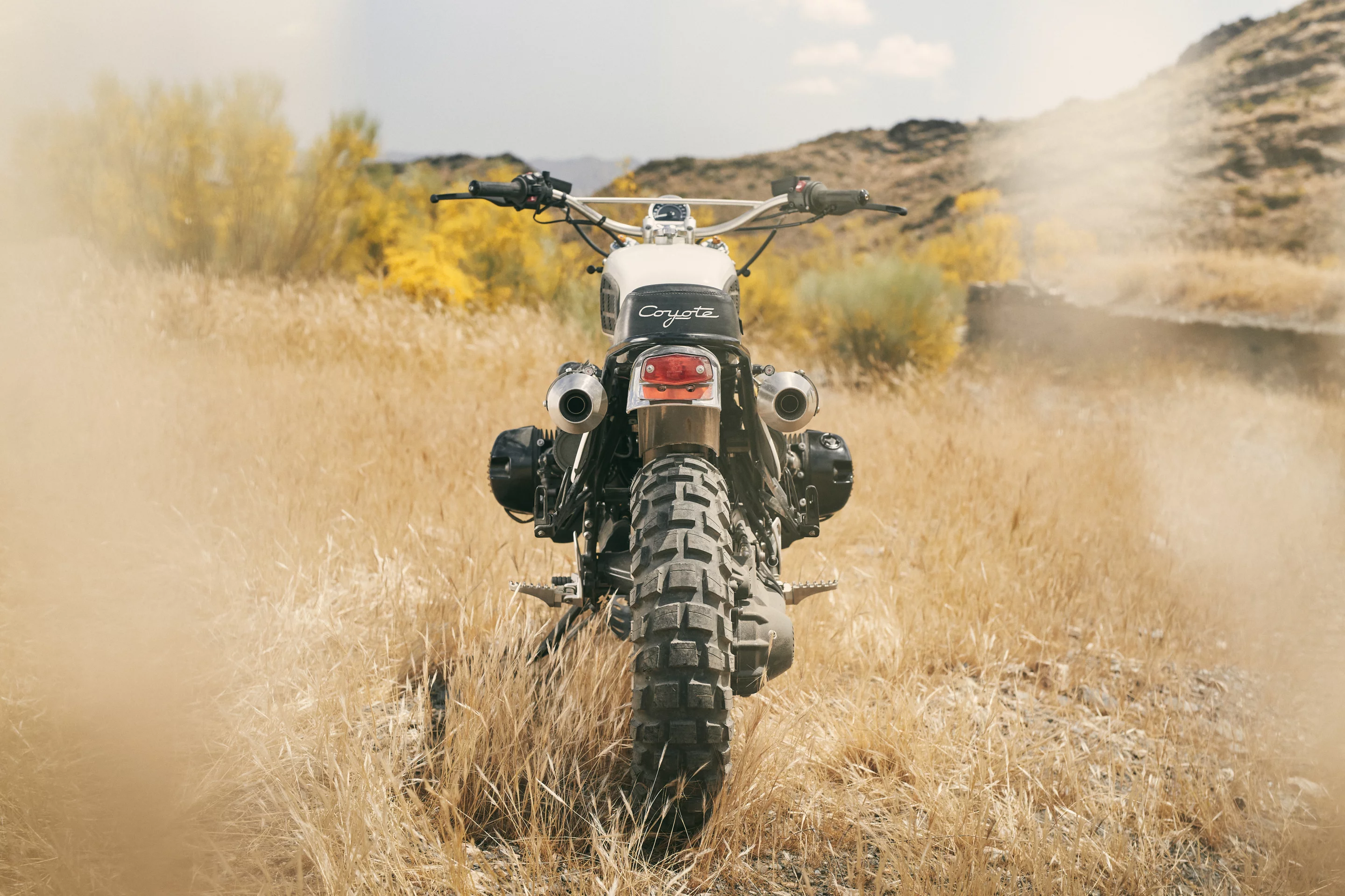 Coyote: dig that boxer barrel chest