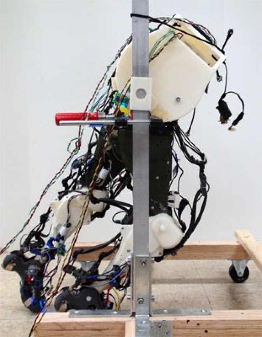 The robotic legs walk with a recognizably human gait