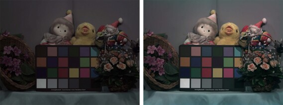 The image on the left was taken using a color filter, while the one on the right used a Micro Color Splitter