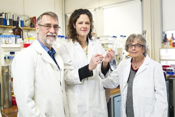 The La Trobe University team developing a blood test to detect Parkinson's: (left to rifht) Professor Paul Fisher, Dr Sarah Annesley and Dr Danuta Loesch-Mdzewska