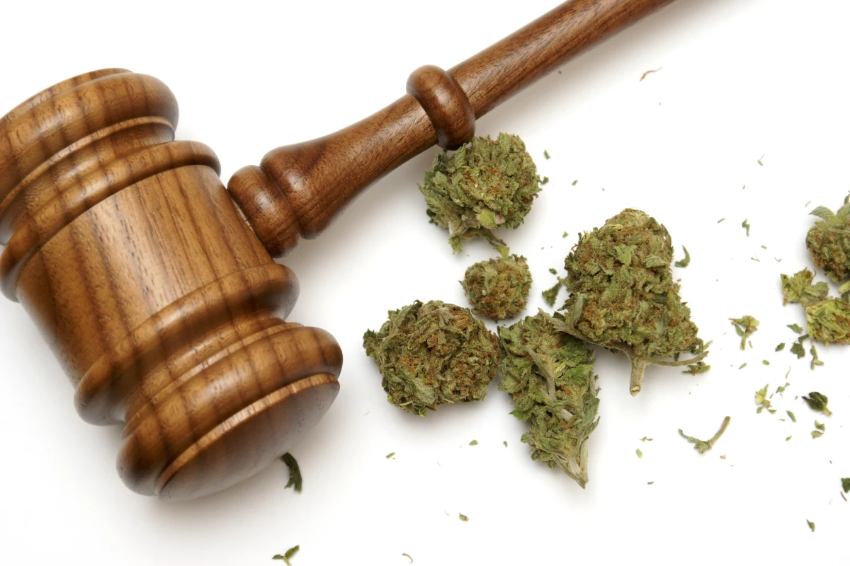 A study measured four outcomes (cigarette smoking, level of education reached, plus general and mental health) to come up with its optimal age recommendation for recreational cannabis laws