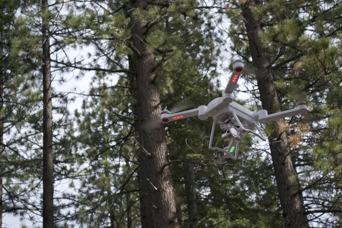 The ProDrone Byrd Standard in flight