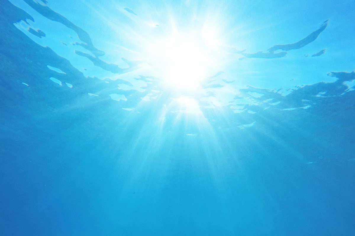 A new "artificial leaf" design can produce hydrogen fuel from sunlight and water