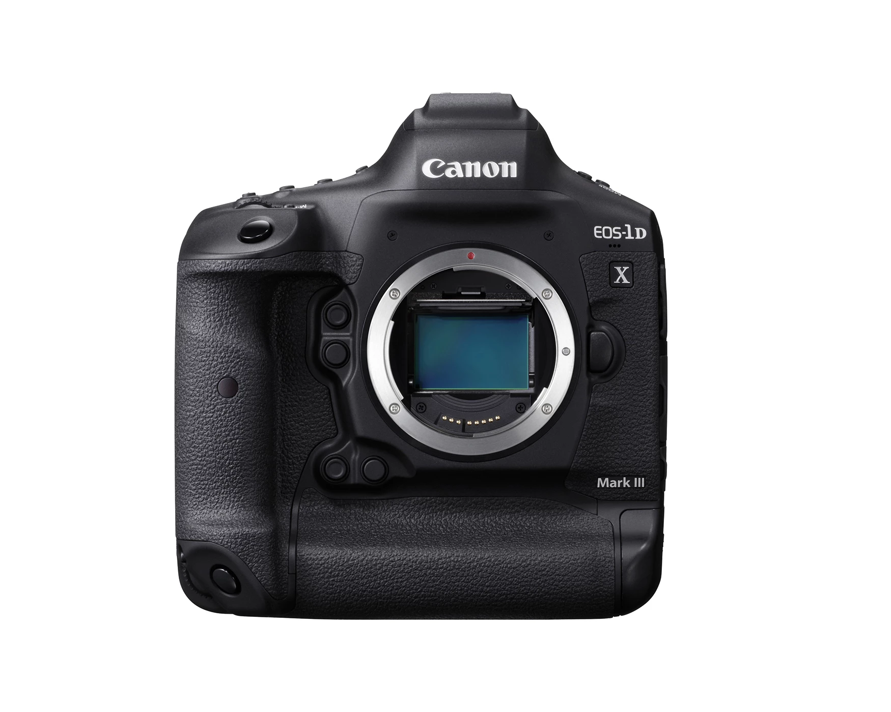 The full-frame Canon CMOS sensor is paired with a Digic X image processor for high light sensitivity, fast autofocus and up to 20 fps continuous shooting