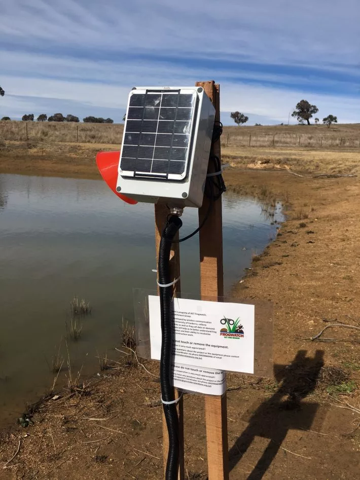 The FrogPhone installed at a field site – it can also float on the surface of the water