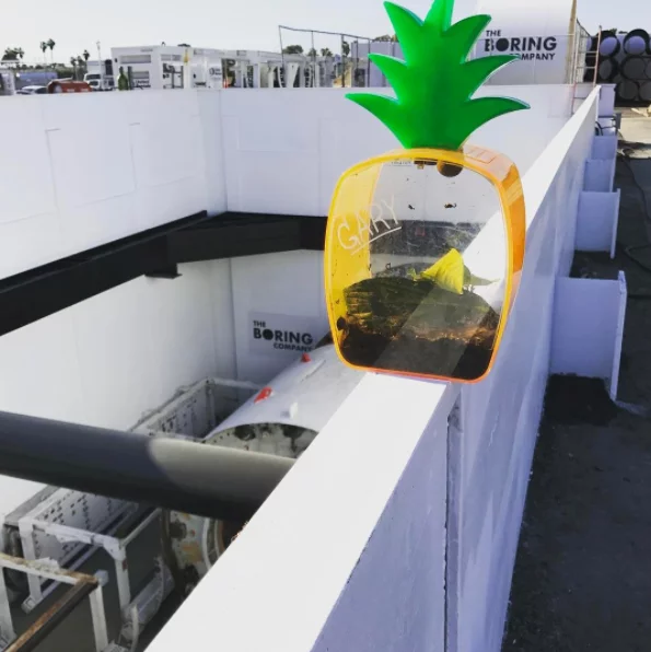 The Boring Company's pet snail Gary