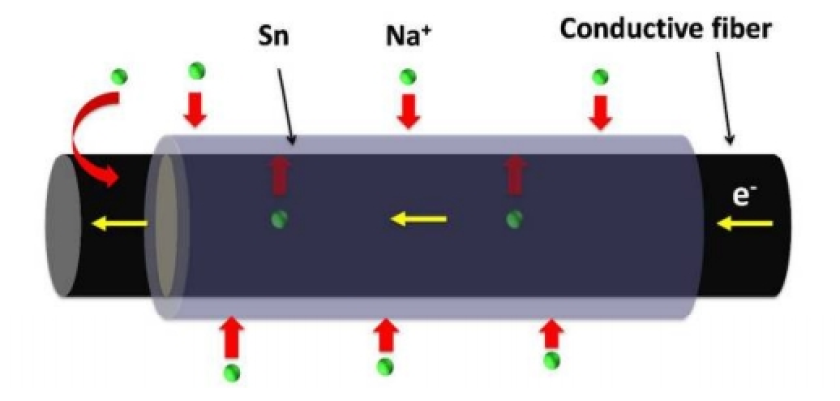 The wood fibers are first coated with single-walled carbon nanotubes to make them electrically conductive, and then with tin (Sn) so they behave as the battery's anode (Image: University of Maryland)
