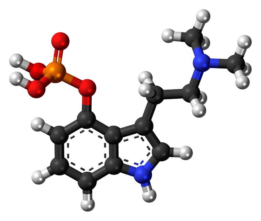 The psilocybin molecule