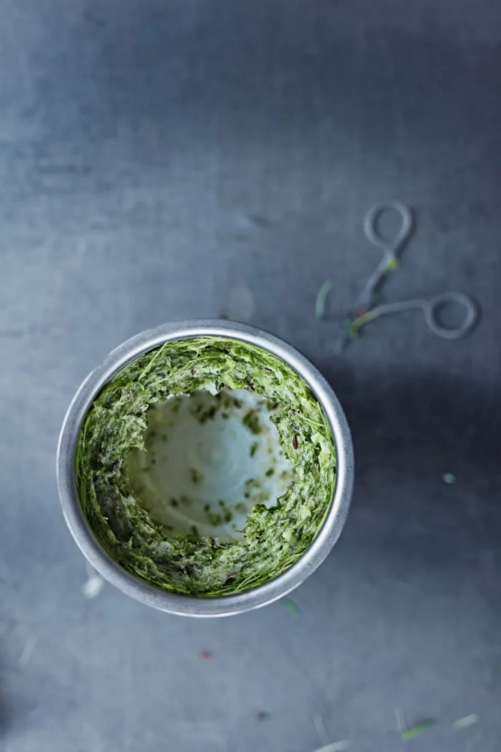 Blending micro greens in popsicles