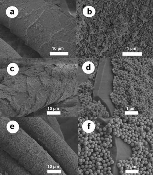 Electron microscope images showing wool fibers coated with the silica nanoparticles that may improve the qualities of wool (Image: American Chemical Society)