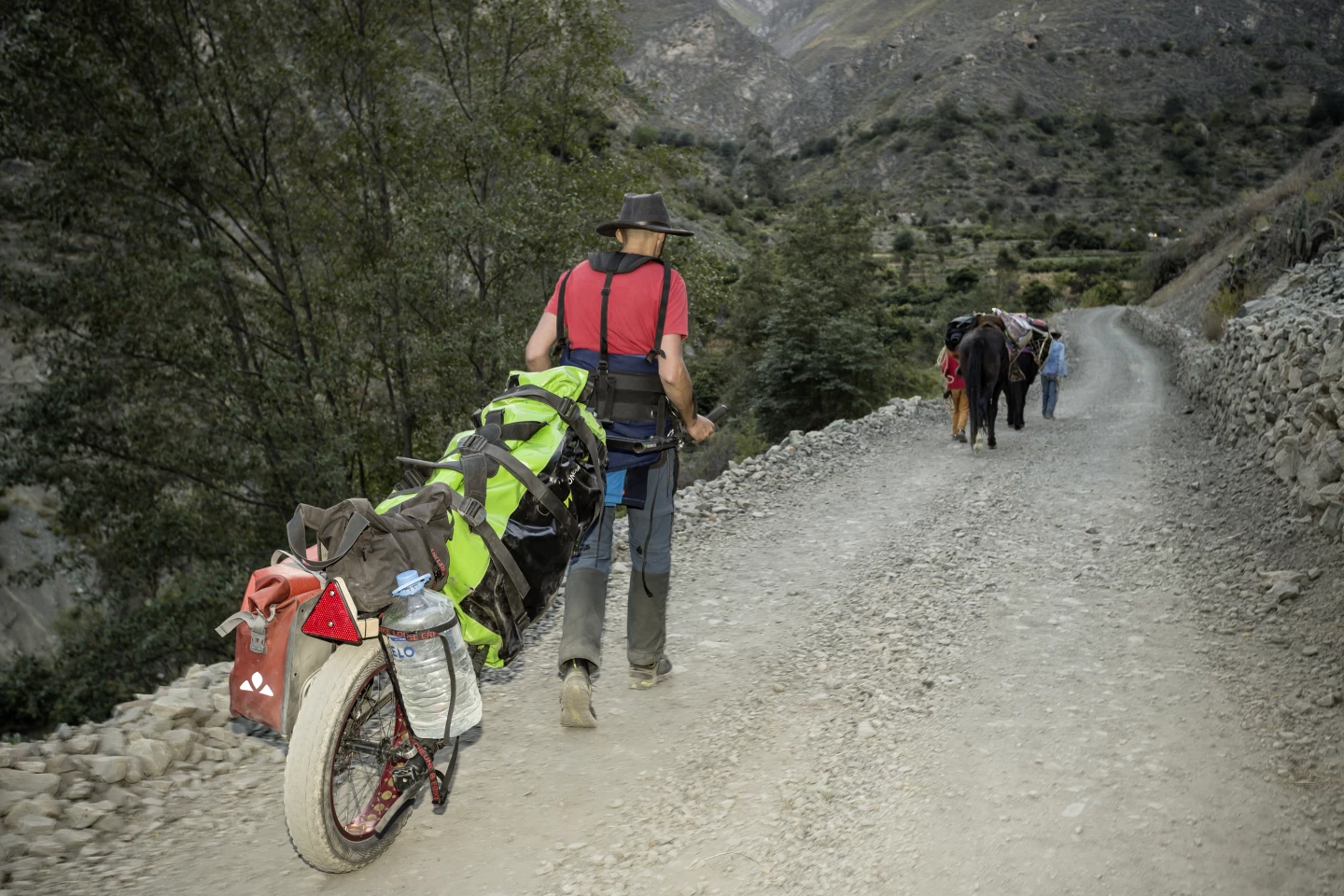 The Monowalker Fatmate can carry up to 50 kg (110 lb), with an additional 30 kg (66 lb) on the optional rear rack