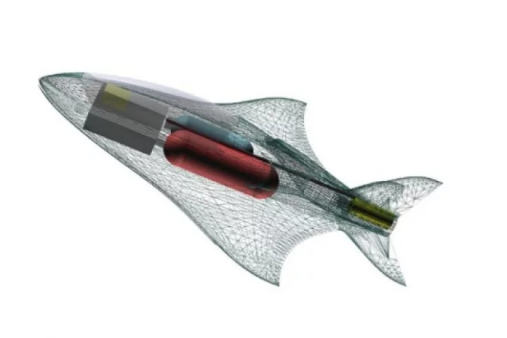 Wire frame diagram showing the location of fuel cell, impeller drive and oxygen tank.