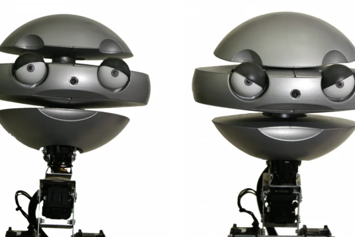 EMYS (EMotive headY System) attempts to convey emotions via facial expressions much like we humans do
