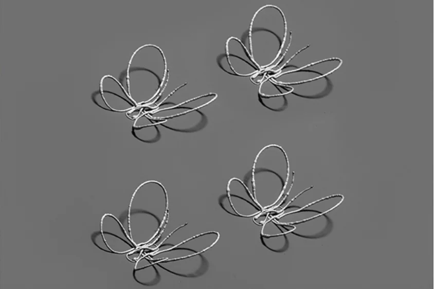 Butterflies printed using the new technology