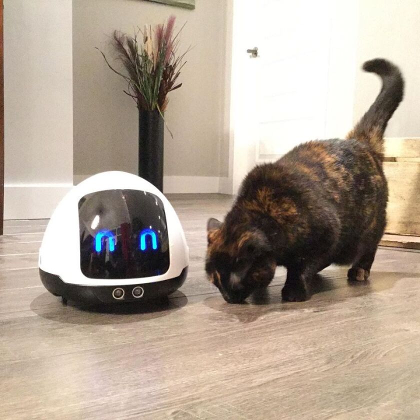 Mia can be programmed to give out user-supplied treats as it moves along