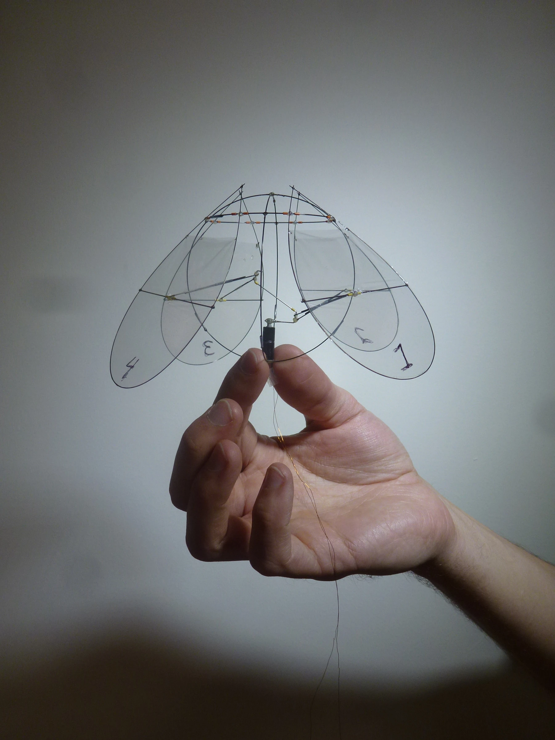 New York University's flying jellyfish (Photo: Leif Ristroph)