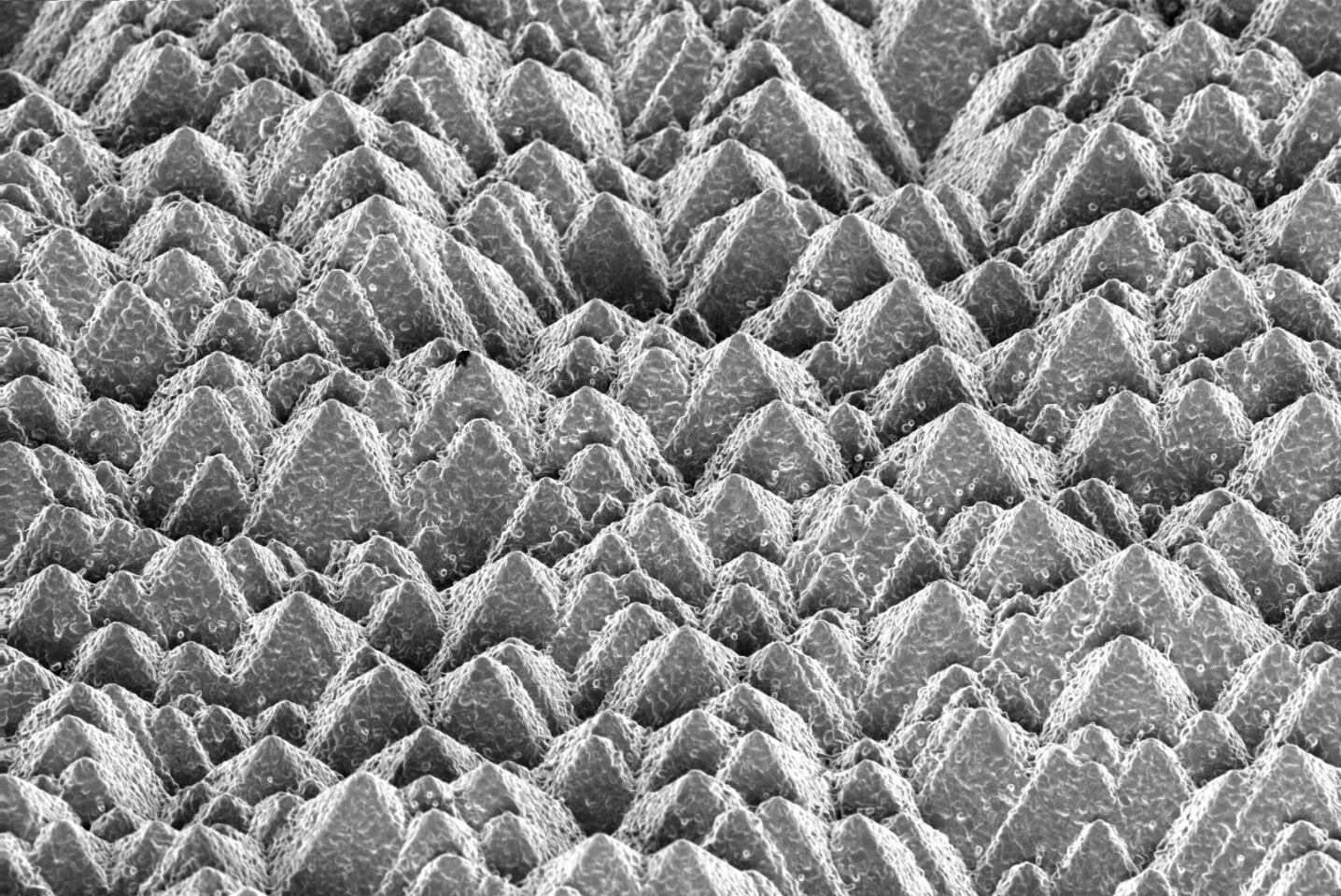 A microscope image of silicon pyramids covered with perovskite