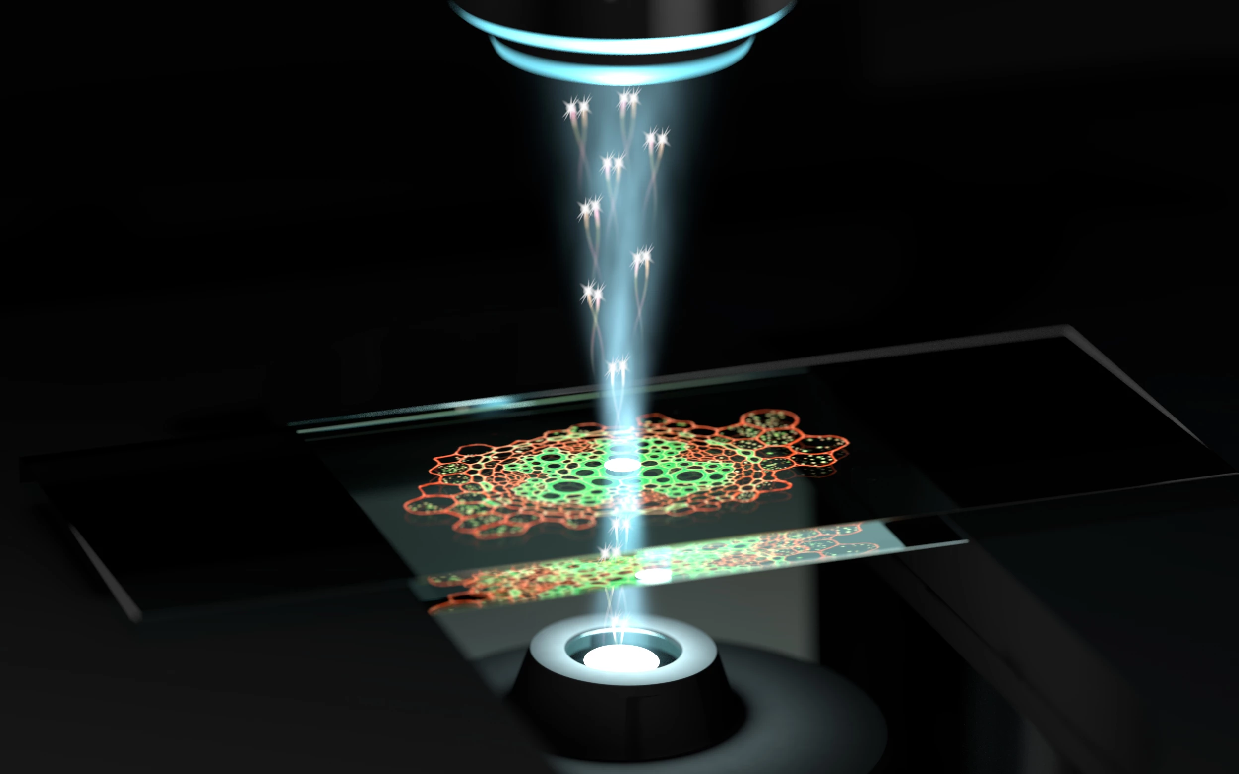 An artist's impression of the quantum microscope, which uses pairs of photons with quantum correlations to image samples at higher resolution with less intense light
