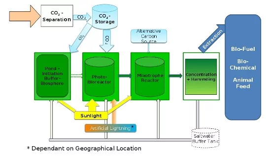A diagram of the See Algae process