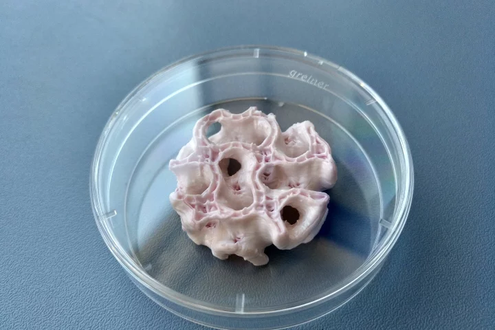Bioprinted bone growing in a lab