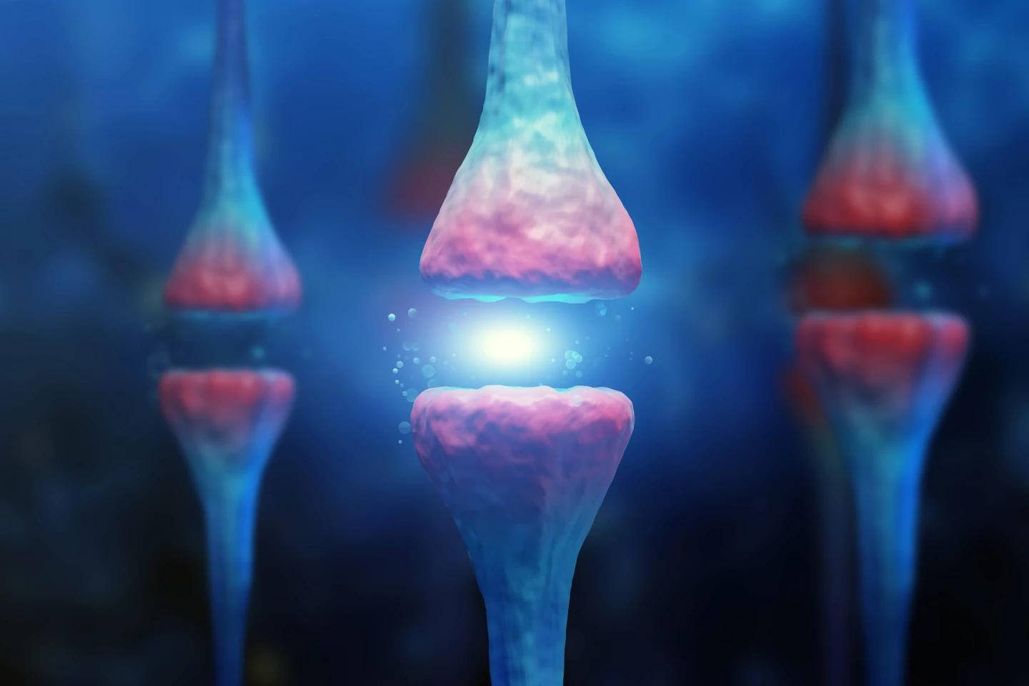 Stabilizing memories relies on protein production at the synapse between neurons