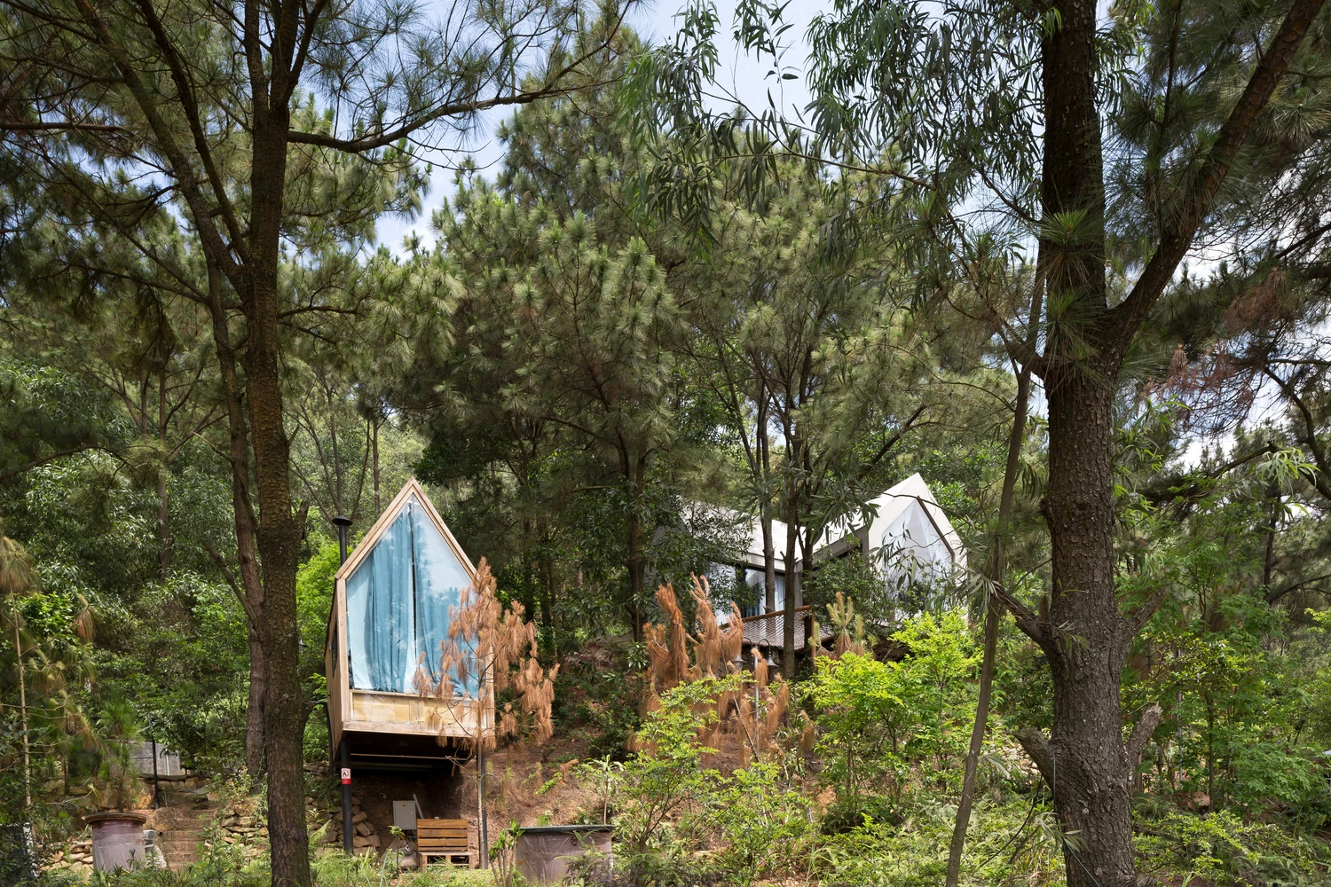 Vietnamese architect Chu Van Dong from D12 Design studio has completed his second edition tiny Forest House