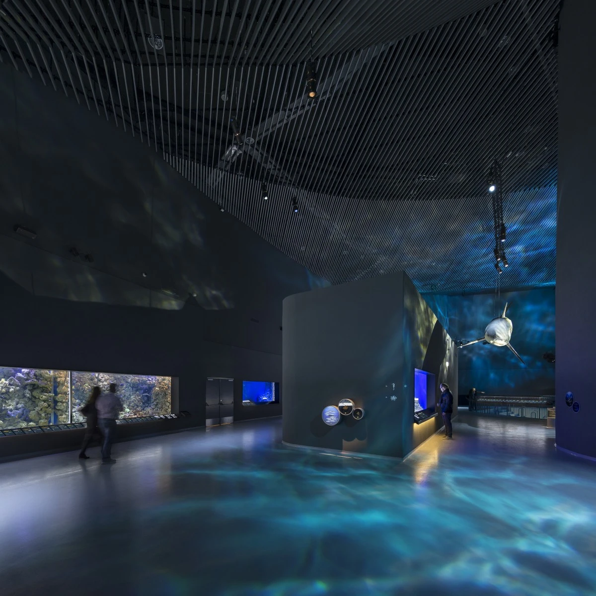 To ensure a healthy environment for the fish all water in the aquariums is filtered and sanitized every hour and then reused