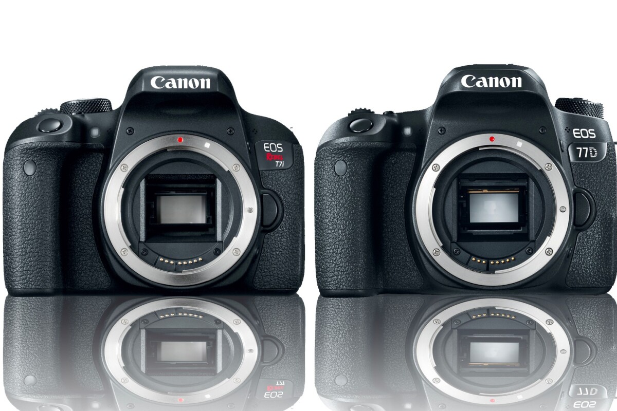 Canon focuses on the mid-range with two new DSLRs