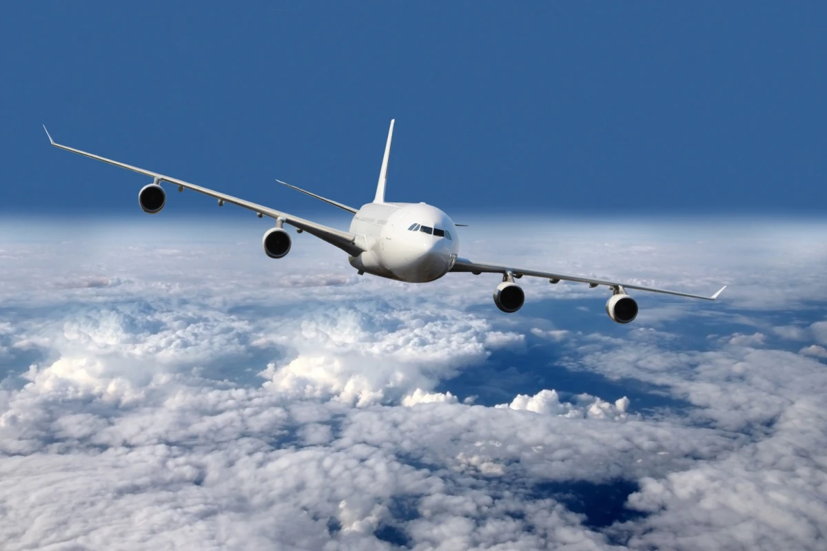 A new algorithm could allow drones to reduce collisions between birds and planes