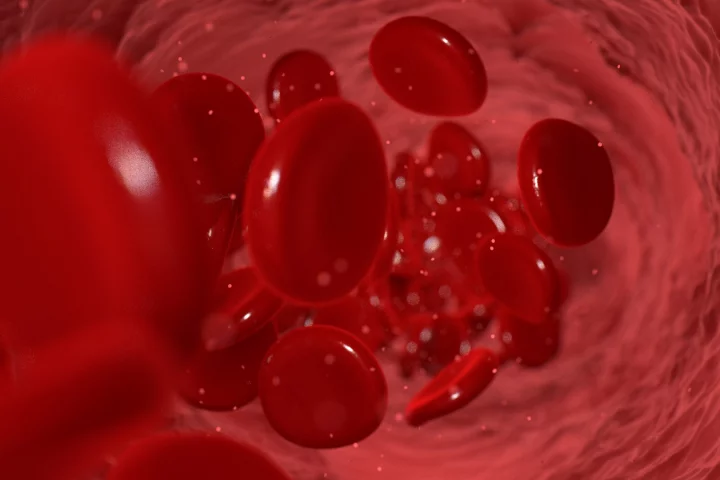 The company behind a Phase 2 trial of its proprietary young plasma protein formulation says it can potentially slow, or even stop, cognitive decline associated with Alzheimer's disease