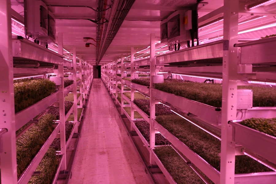 Growing Underground employs a hydroponics system that uses 70 percent less water than traditional open-field farming