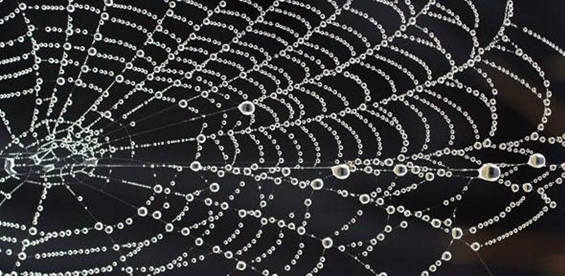 The new silk is made out of hydrogel