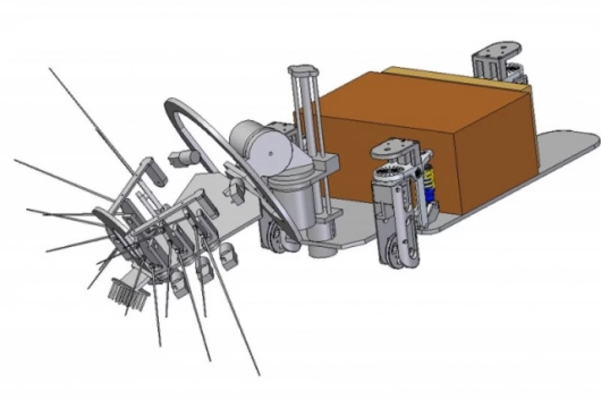 Rodent-like robotsPhoto: Biotact