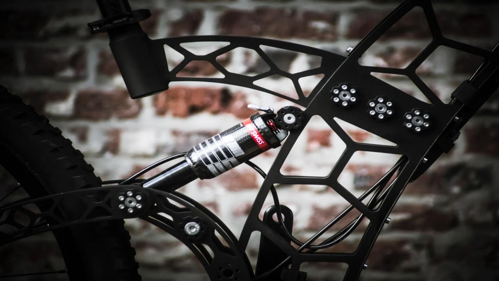 Altinsoy shows the bike with a DT Swiss rear shock