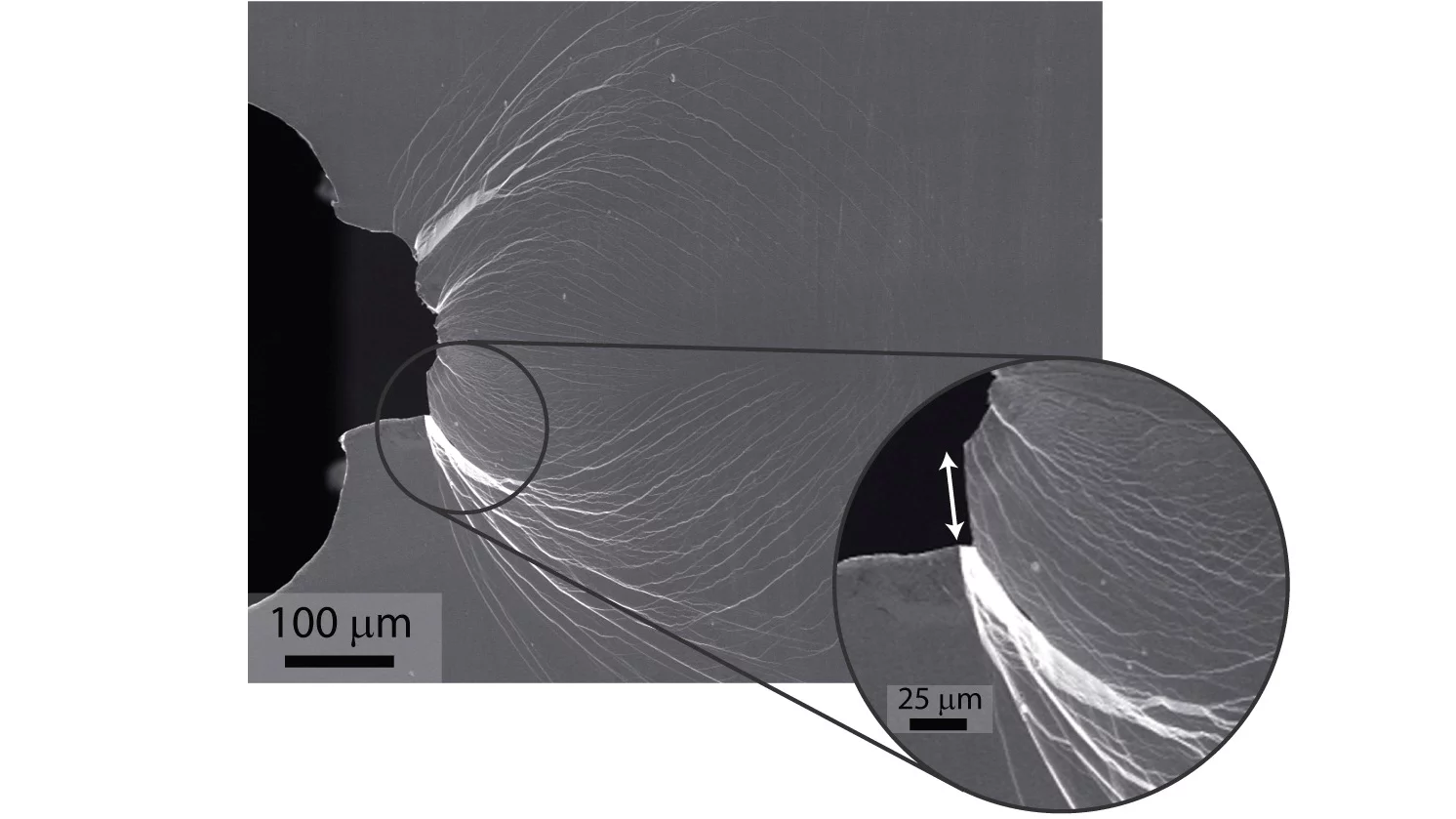 Robert Ritchie, a member of the research team that developed the super-tough metallic glass.Image: Roy Kaltschmidt, Berkeley Lab Public Affairs