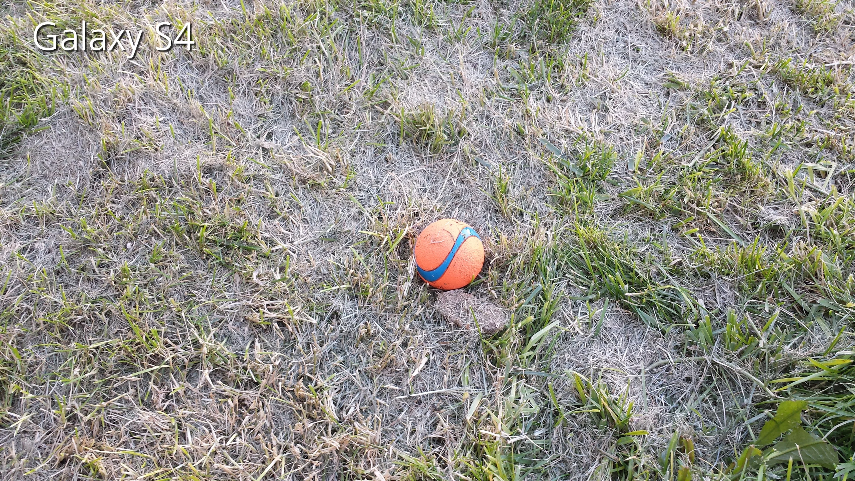 Outdoor shot from the GS4