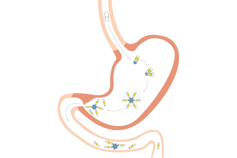 A diagram showing how the star-shaped drug delivery capsule moves through the digestive system