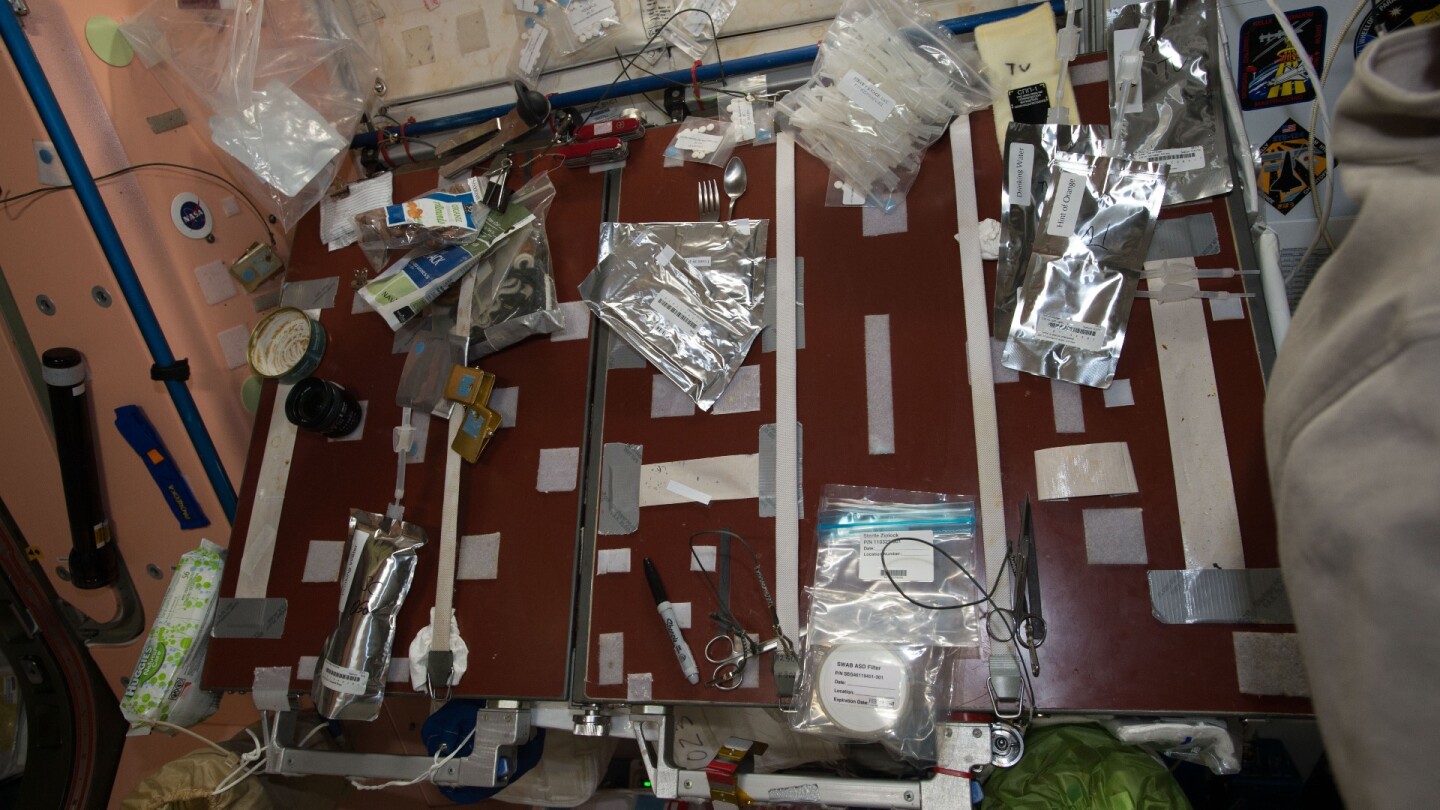 The samples were collected from around the space station by the astronauts living there