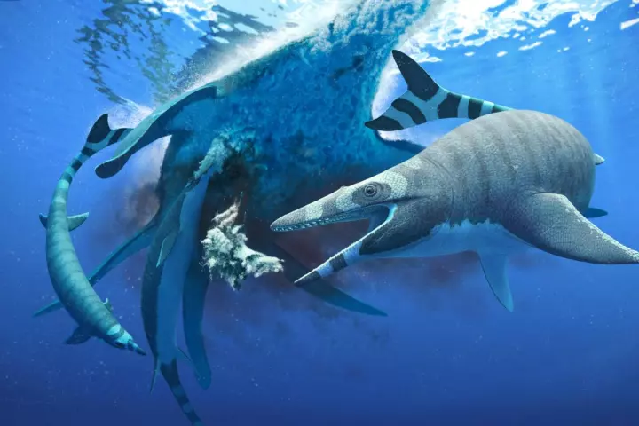 Xenodens calminechari, pictured feeding on the carcass of a larger marine reptile