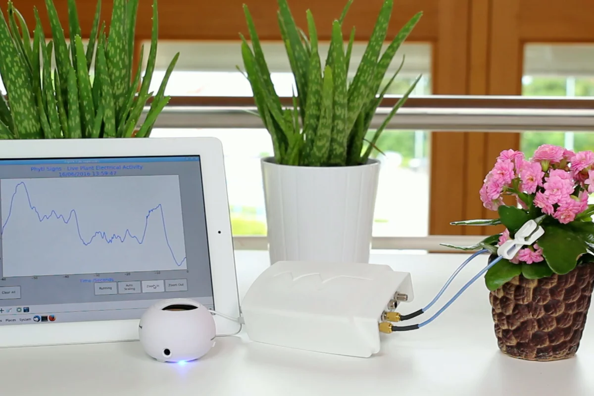 The Phytl Signs device picks up the tiny electrical signals emitted by plants