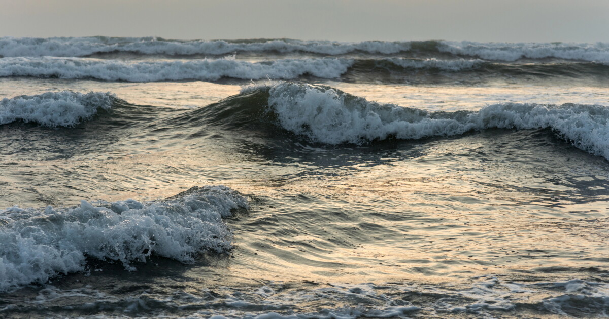 There's magnesium, lithium, nickel and platinum in that thar seawater